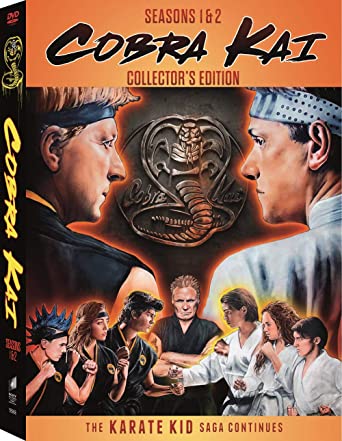 Cobra Kai All Seasons in Hindi Movie